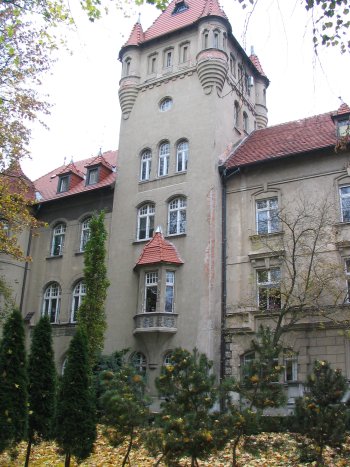 Zamek Osieczna 2007